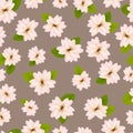 Spring cherry blossoms.ÃÂ Seamless pattern with JapaneseÃÂ sakura. Pink flowers on gray beige background. Romantic llustration Royalty Free Stock Photo